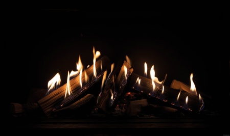 Газовый камин Schmid Ekko G L (R) 45 Газовый камин Schmid Ekko G L (R) 45